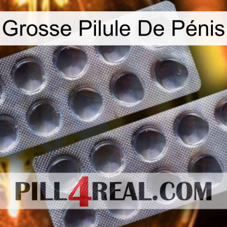 Grosse Pilule De Pénis 31